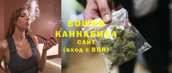 молекула духа Нягань