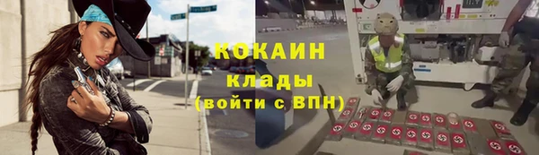 ALPHA-PVP Няндома