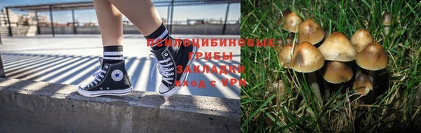 синтетический гашиш Арсеньев