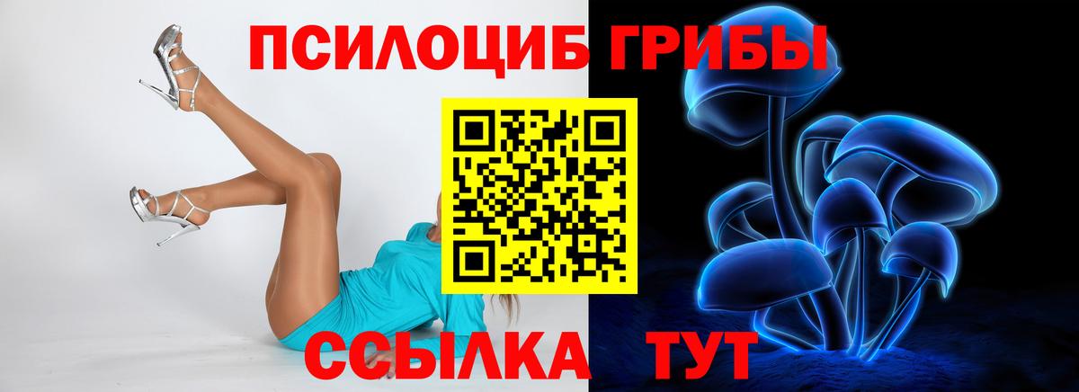 Псилоцибиновые грибы Psilocybe  Вход с VPN  Феодосия  сколько стоит  Псилоцибиновые грибы мицелий 